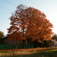 Осень в деревне :: Виктор Замятин