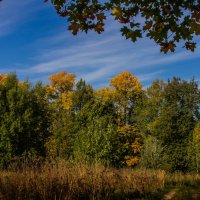 Осенний пейзаж :: Владимир Буравкин