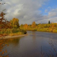 Золотая осень. :: Геннадий Северный