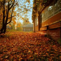 Осенние краски... :: Федор Кованский