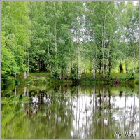 Озеро :: Николай Дементьев 