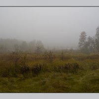 Туман на лугу :: Weles 