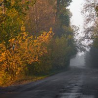 Дорога в осень :: Мария Парамонова