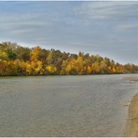 Осень на берегах реки :: Владимир Горбунов