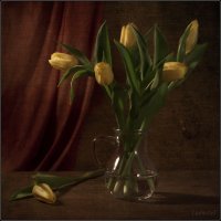 Желтые тюльпаны :: LudmilaV ***