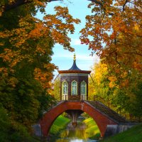 Осень в Александровском парке :: Денис Матвеев