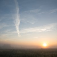 Красота туманного утра :: Наталья 