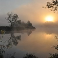 Утренний туман :: Диана Задворкина