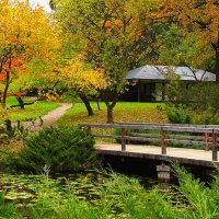 Осень в Японском саду. :: Николай Кондаков
