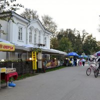 Осень в парке :: Елена Солнечная