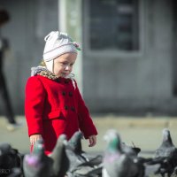Девчушка и голуби :: PRoBoF- Feofannen