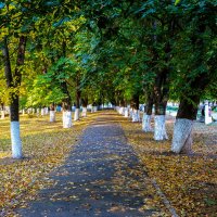 Осень в городе :: Igor Yakovlev