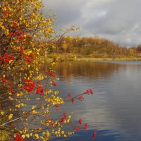 Осенний цвет :: Медведев Сергей 