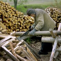 Заготовка дров :: Валерий Талашов