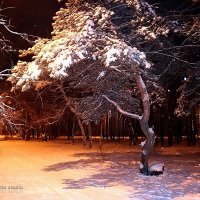 Зимний парк.... :: Владимир Незабываемый