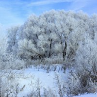 Зима не даром злится..... :: Маргарита ( Марта ) Дрожжина