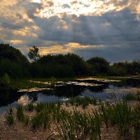 Есть в графском парке старый пруд... :: Александр Бойко