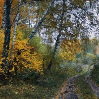 ОСЕННИЙ ЭТЮД :: Александр Шадраков