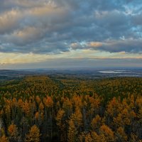 Осенний лес :: vladimir Bormotov