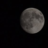 Луна :: Анна Чивикова