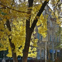 В городе осень :: Юлия Грозенко