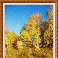 Осенний лес :: Лидия (naum.lidiya)