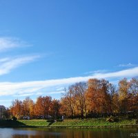 Осенний пруд :: Лидия (naum.lidiya)
