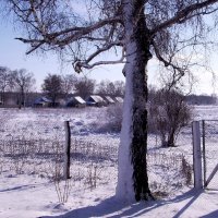 Зима пришла в мою деревеньку :: Валентина Пирогова