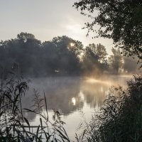 Утро на реке :: Николай Климович