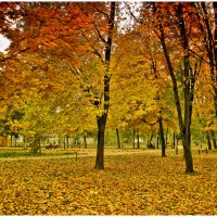 Осень в парке :: Анатолий Михайлович