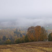 Осень уходящая в туман... :: Aleksandrs Rosnis