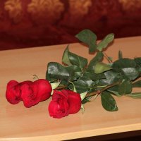 розы на столе :: Елена Константиниди