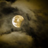 лунное затмение 8.10.14 :: Светлана Шакирзянова