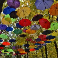 Нашествие зонтиков :: Tatiana Kretova