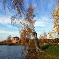 Золотая осень в Тараканово :: 2сello Olga