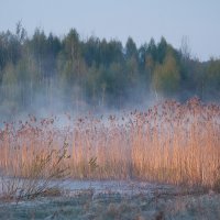 апрельское утро :: Геннадий Скалабан