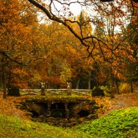 Осень В Павловском парке :: Денис Матвеев