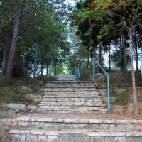 Лестница     מדרגות :: vasya-starik Старик