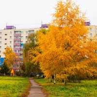 Осень :: Андрей Воробьев