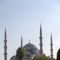 Голубая мечеть :: Николай Сухоруков
