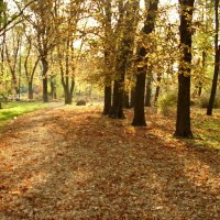Осенняя аллея в Таганрогском парке. :: Ирина Прохорченко