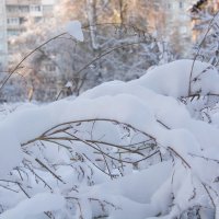 Зима - тебе и здрасьте!!! :: Павел Савин