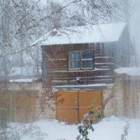 Ранняя зима :: Валерий Симонов