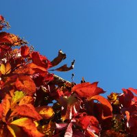 Осень :: Mariya laimite