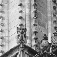 Статуи химер Notre Dame de Paris :: Галина 