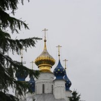 Купола монастыркого храма :: Yulia Sherstyuk