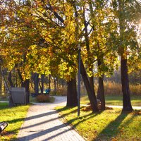 Осенний парк :: Татьяна Плиско