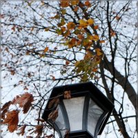 Осенний фонарь... :: Ирэн 