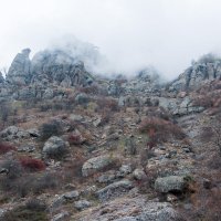 Туман :: Станислав Степанов