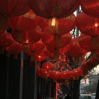 Китайский новый год :: Лариса 